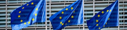 banner UE